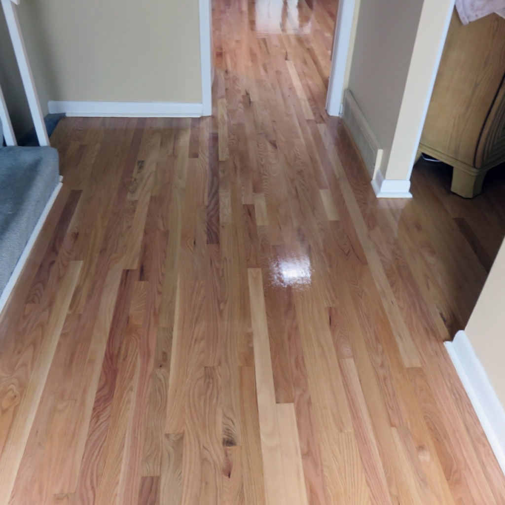 Red Oak Floors with Amber Seal
