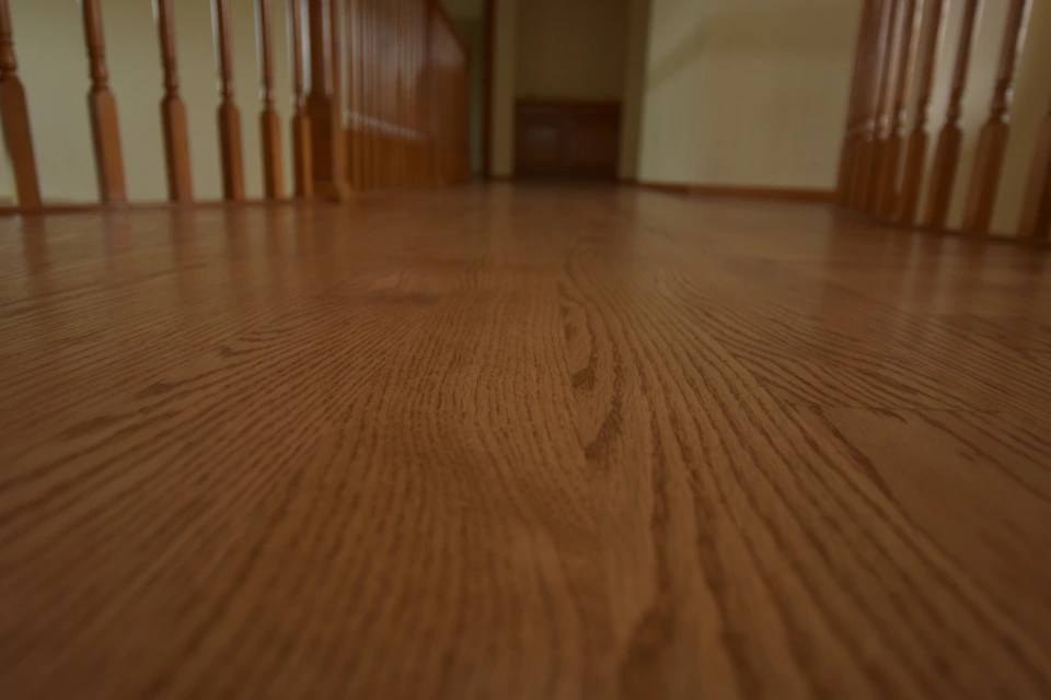 Golden Oak Stain