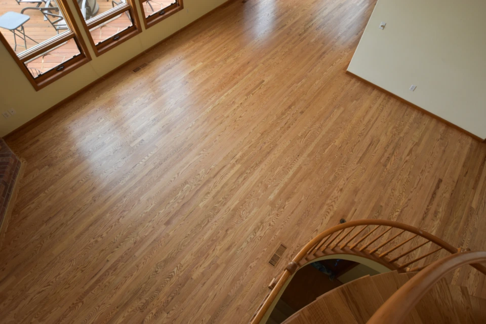 Golden Oak Stain