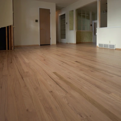 Living Room. Clear Coat.