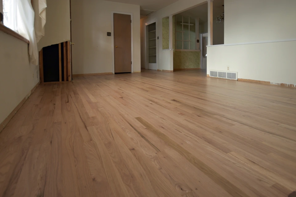 Living Room. Clear Coat.